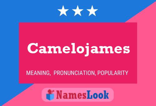 Camelojames Naam Poster