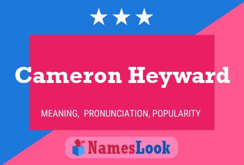 Cameron Heyward Naam Poster