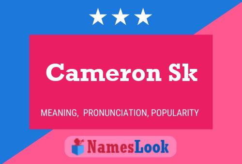 Cameron Sk Naam Poster