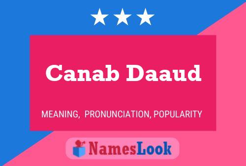 Canab Daaud Naam Poster