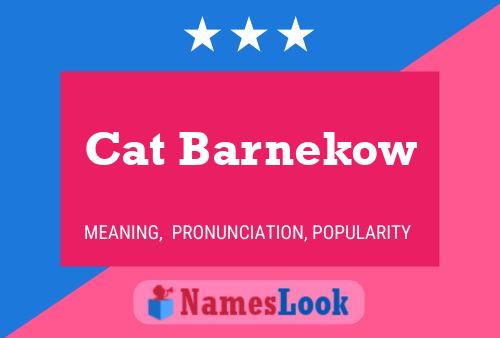 Cat Barnekow Naam Poster