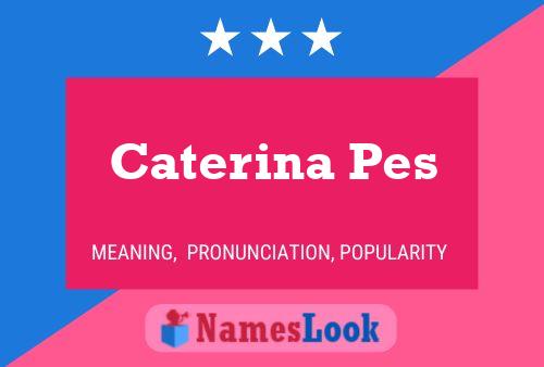 Caterina Pes Naam Poster