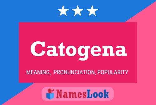 Catogena Naam Poster