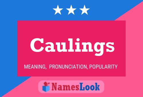 Caulings Naam Poster