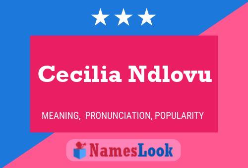 Cecilia Ndlovu Naam Poster