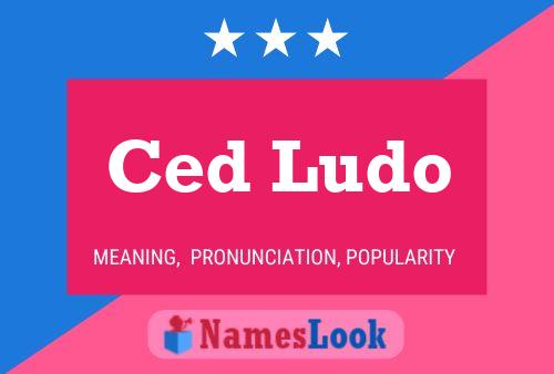 Ced Ludo Naam Poster