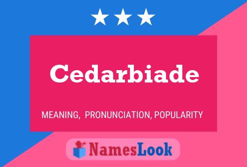 Cedarbiade Naam Poster