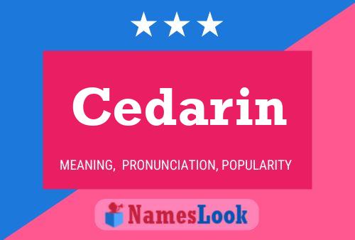 Cedarin Naam Poster