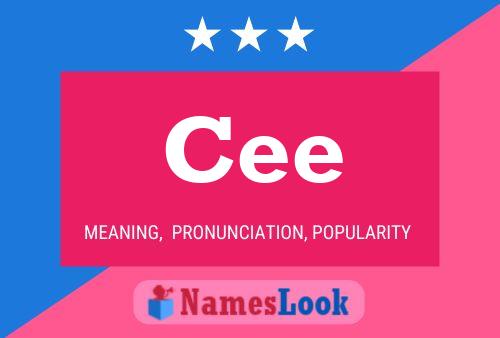 Cee Naam Poster