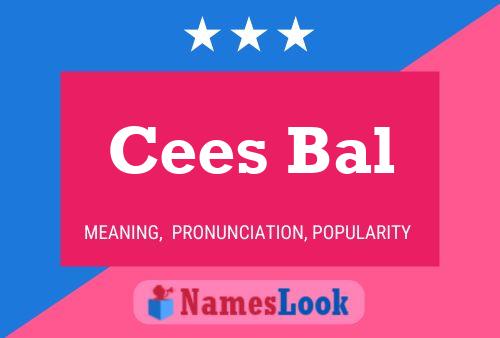 Cees Bal Naam Poster