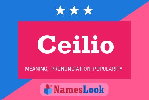 Ceilio Naam Poster