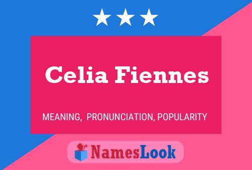 Celia Fiennes Naam Poster