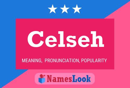 Celseh Naam Poster