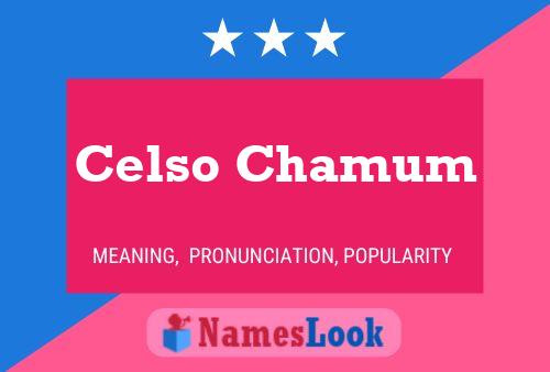 Celso Chamum Naam Poster