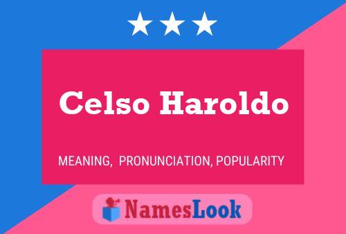 Celso Haroldo Naam Poster