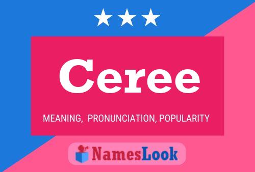 Ceree Naam Poster