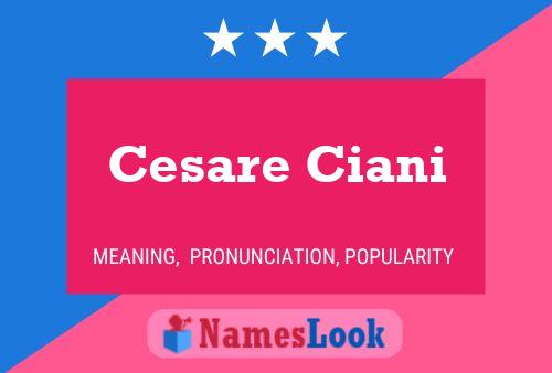 Cesare Ciani Naam Poster