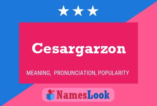 Cesargarzon Naam Poster