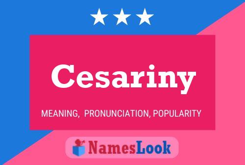 Cesariny Naam Poster