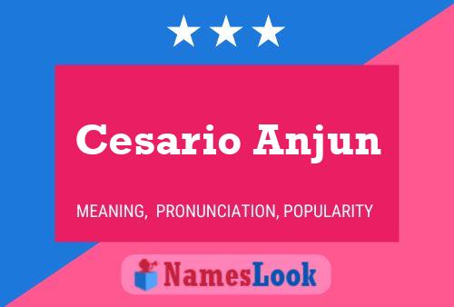 Cesario Anjun Naam Poster