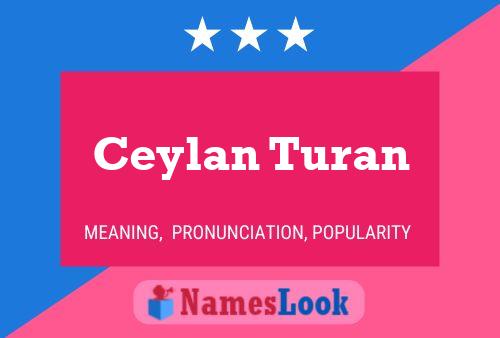 Ceylan Turan Naam Poster