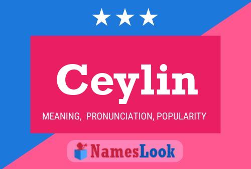 Ceylin Naam Poster