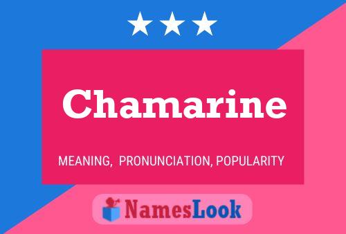 Chamarine Naam Poster