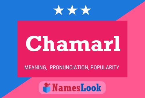 Chamarl Naam Poster