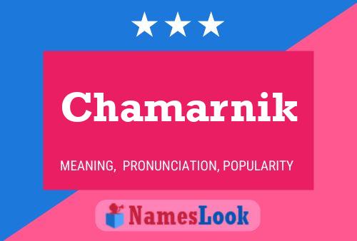 Chamarnik Naam Poster