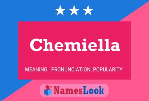 Chemiella Naam Poster