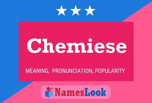 Chemiese Naam Poster