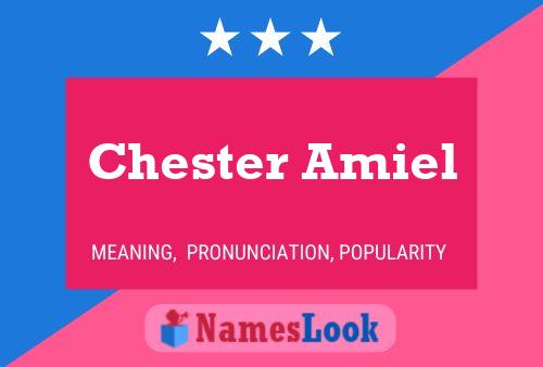 Chester Amiel Naam Poster