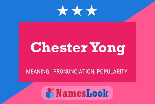 Chester Yong Naam Poster