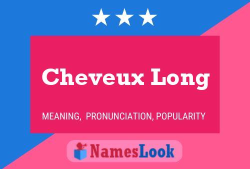 Cheveux Long Naam Poster