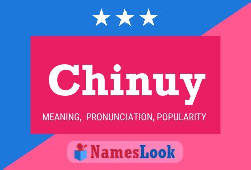 Chinuy Naam Poster