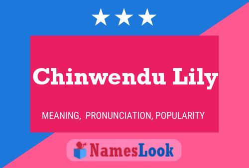 Chinwendu Lily Naam Poster