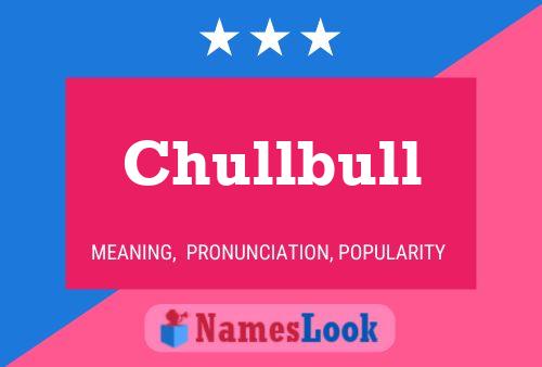 Chullbull Naam Poster