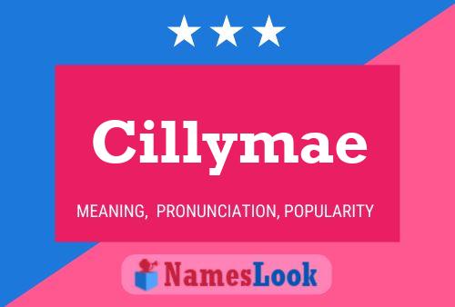 Cillymae Naam Poster