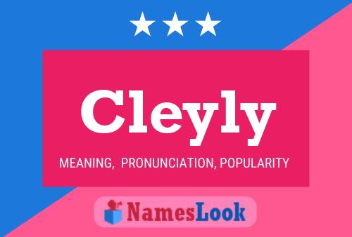 Cleyly Naam Poster