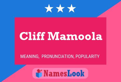 Cliff Mamoola Naam Poster