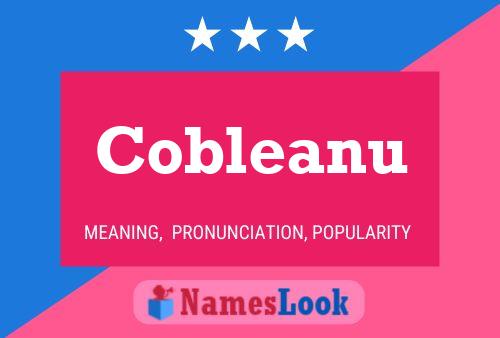 Cobleanu Naam Poster