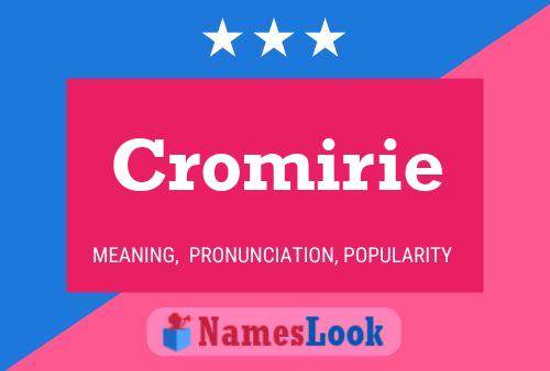 Cromirie Naam Poster