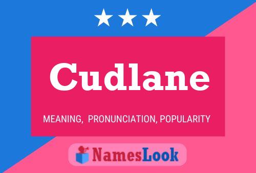 Cudlane Naam Poster