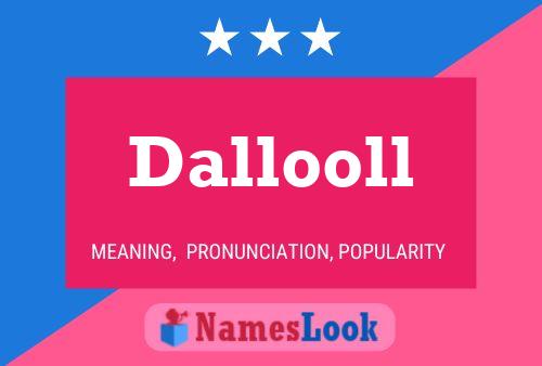 Dallooll Naam Poster