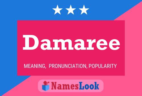 Damaree Naam Poster