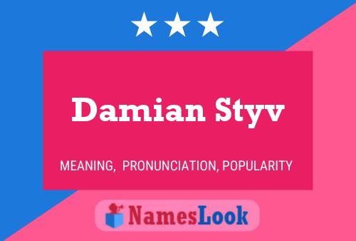 Damian Styv Naam Poster