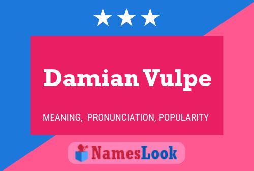 Damian Vulpe Naam Poster