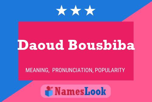 Daoud Bousbiba Naam Poster