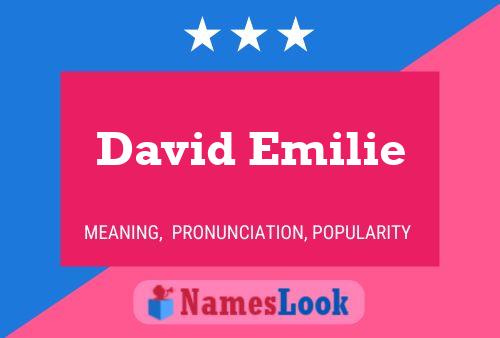 David Emilie Naam Poster