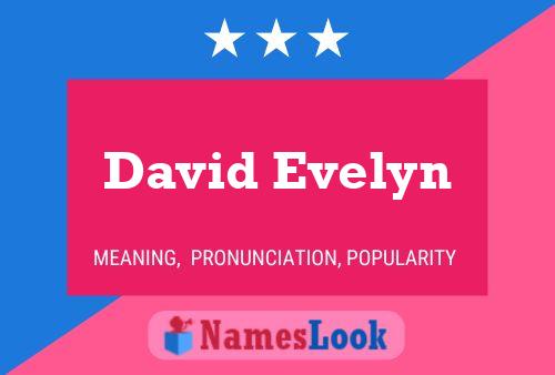 David Evelyn Naam Poster